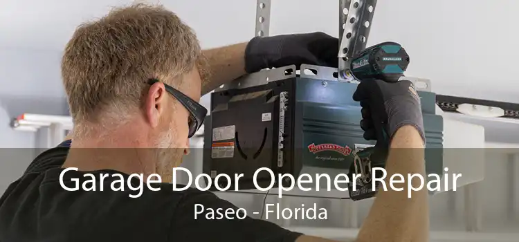 Garage Door Opener Repair Paseo - Florida