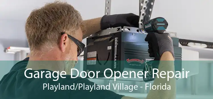 Garage Door Opener Repair Playland/Playland Village - Florida