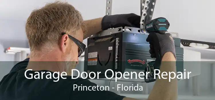 Garage Door Opener Repair Princeton - Florida