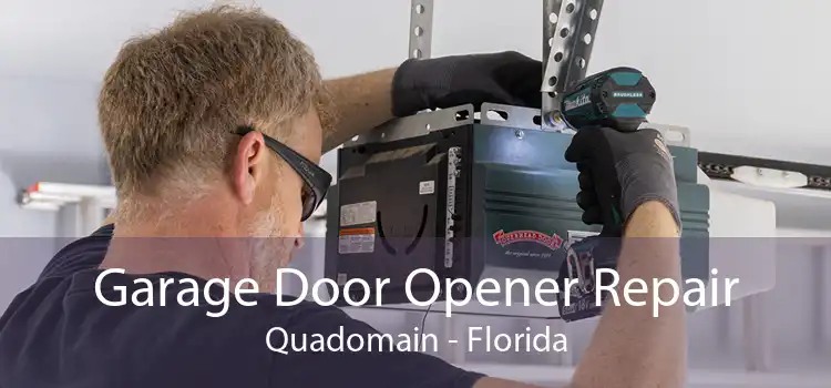 Garage Door Opener Repair Quadomain - Florida