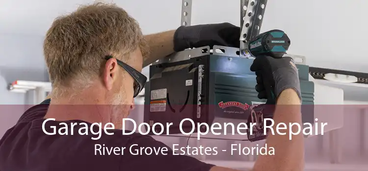 Garage Door Opener Repair River Grove Estates - Florida