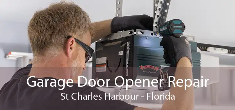 Garage Door Opener Repair St Charles Harbour - Florida