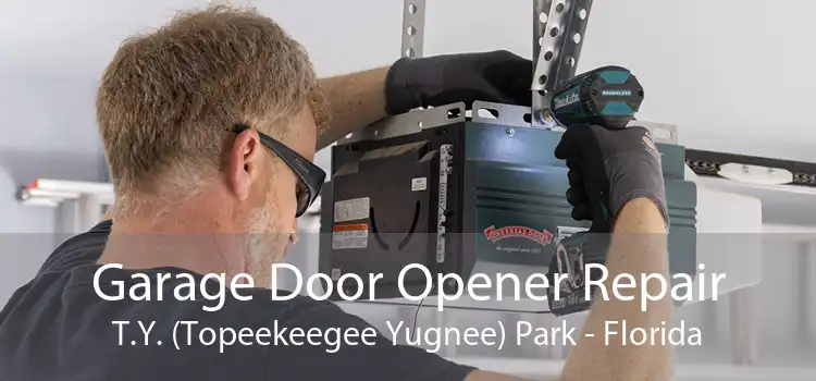 Garage Door Opener Repair T.Y. (Topeekeegee Yugnee) Park - Florida