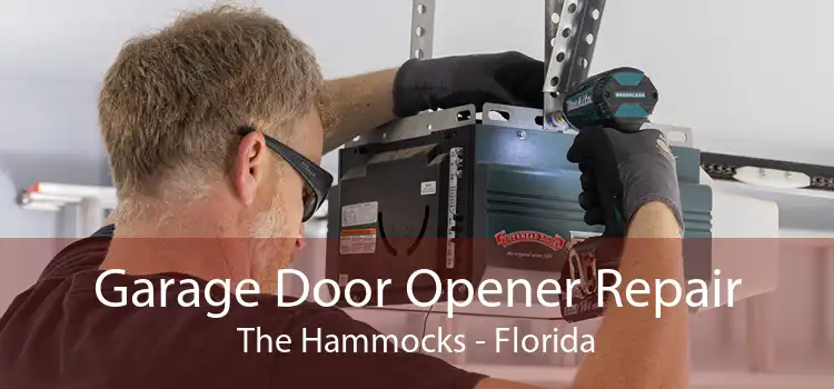 Garage Door Opener Repair The Hammocks - Florida