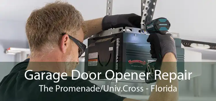 Garage Door Opener Repair The Promenade/Univ.Cross - Florida