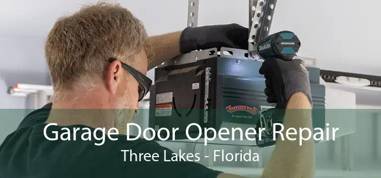 Garage Door Opener Repair Three Lakes - Florida