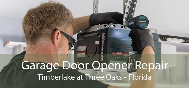 Garage Door Opener Repair Timberlake at Three Oaks - Florida