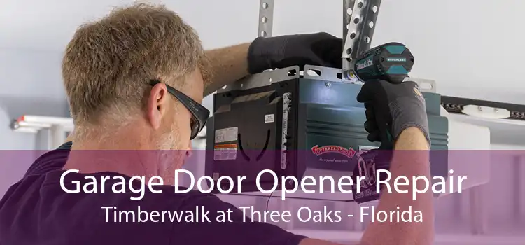 Garage Door Opener Repair Timberwalk at Three Oaks - Florida