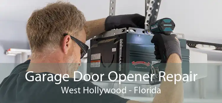 Garage Door Opener Repair West Hollywood - Florida