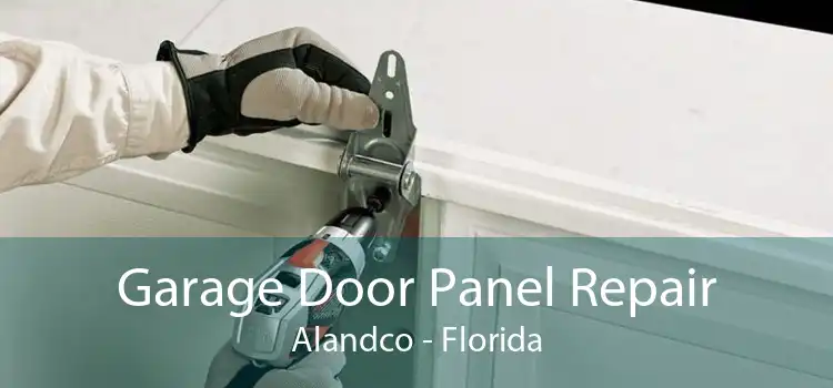 Garage Door Panel Repair Alandco - Florida