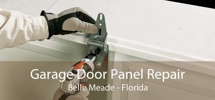 Garage Door Panel Repair Belle Meade - Florida