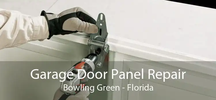 Garage Door Panel Repair Bowling Green - Florida