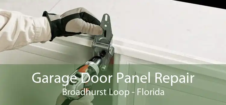 Garage Door Panel Repair Broadhurst Loop - Florida