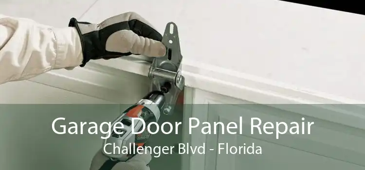 Garage Door Panel Repair Challenger Blvd - Florida