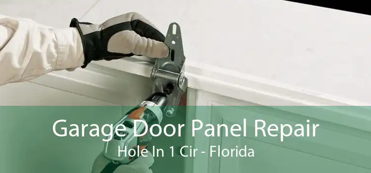 Garage Door Panel Repair Hole In 1 Cir - Florida