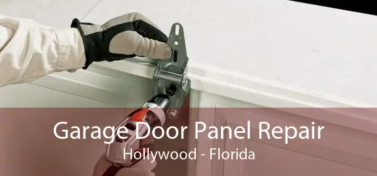 Garage Door Panel Repair Hollywood - Florida