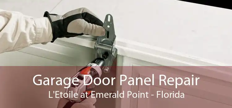 Garage Door Panel Repair L'Etoile at Emerald Point - Florida