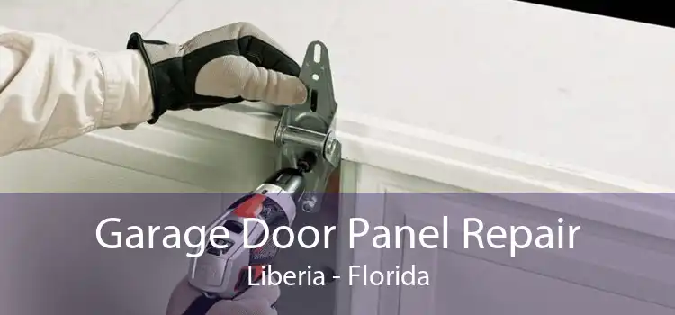 Garage Door Panel Repair Liberia - Florida