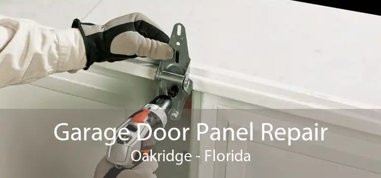 Garage Door Panel Repair Oakridge - Florida