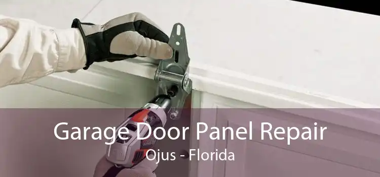 Garage Door Panel Repair Ojus - Florida