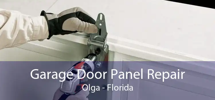 Garage Door Panel Repair Olga - Florida