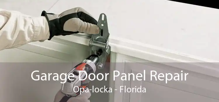 Garage Door Panel Repair Opa-locka - Florida