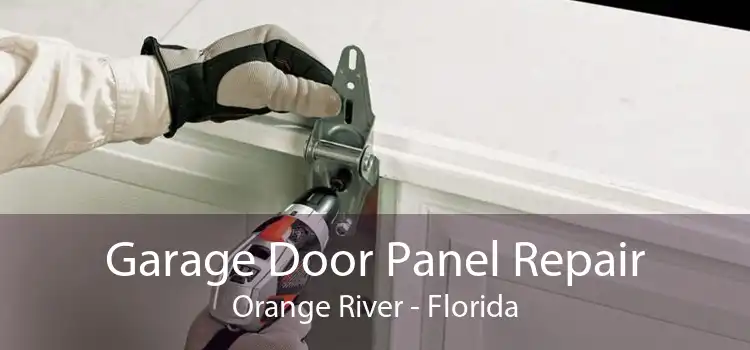 Garage Door Panel Repair Orange River - Florida