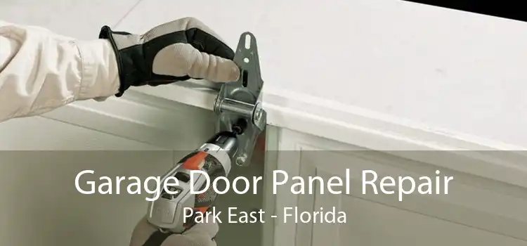 Garage Door Panel Repair Park East - Florida