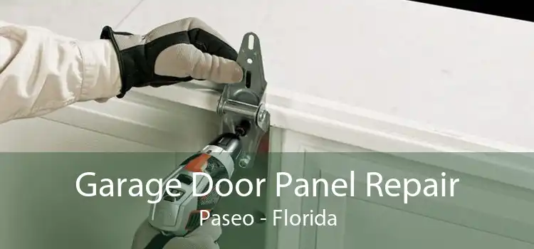 Garage Door Panel Repair Paseo - Florida