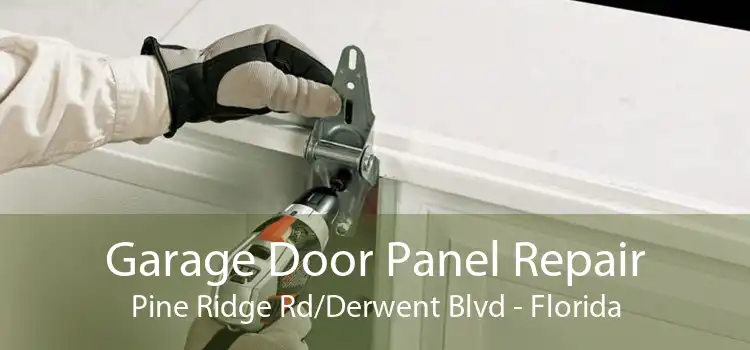 Garage Door Panel Repair Pine Ridge Rd/Derwent Blvd - Florida