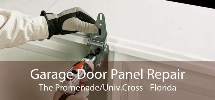 Garage Door Panel Repair The Promenade/Univ.Cross - Florida