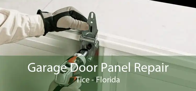 Garage Door Panel Repair Tice - Florida