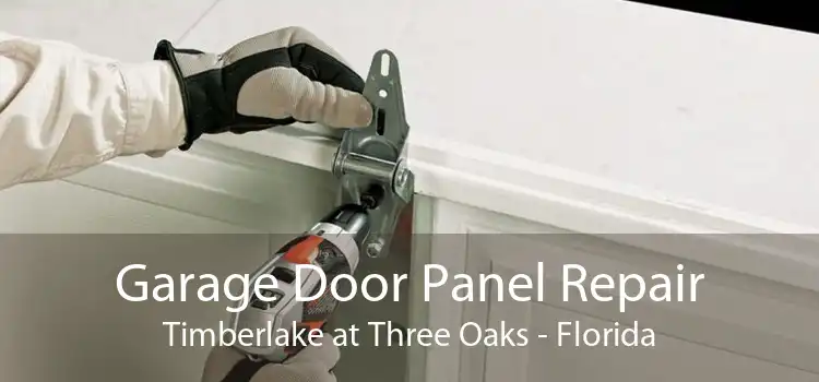 Garage Door Panel Repair Timberlake at Three Oaks - Florida