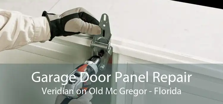 Garage Door Panel Repair Veridian on Old Mc Gregor - Florida