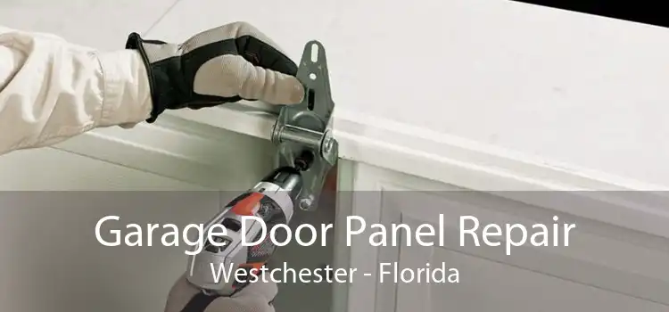 Garage Door Panel Repair Westchester - Florida