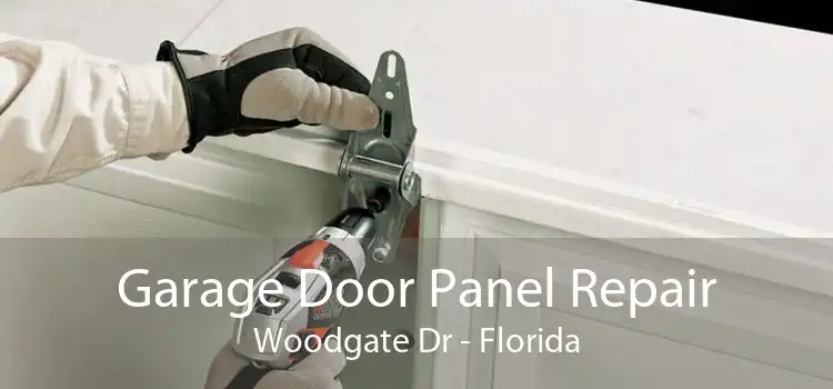 Garage Door Panel Repair Woodgate Dr - Florida