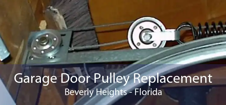 Garage Door Pulley Replacement Beverly Heights - Florida