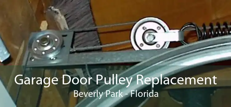 Garage Door Pulley Replacement Beverly Park - Florida