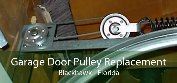 Garage Door Pulley Replacement Blackhawk - Florida