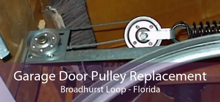 Garage Door Pulley Replacement Broadhurst Loop - Florida