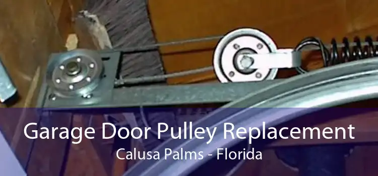 Garage Door Pulley Replacement Calusa Palms - Florida