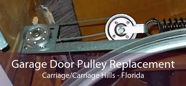 Garage Door Pulley Replacement Carriage/Carriage Hills - Florida