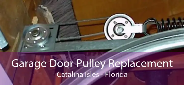 Garage Door Pulley Replacement Catalina Isles - Florida