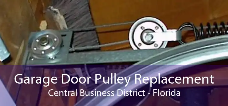 Garage Door Pulley Replacement Central Business District - Florida