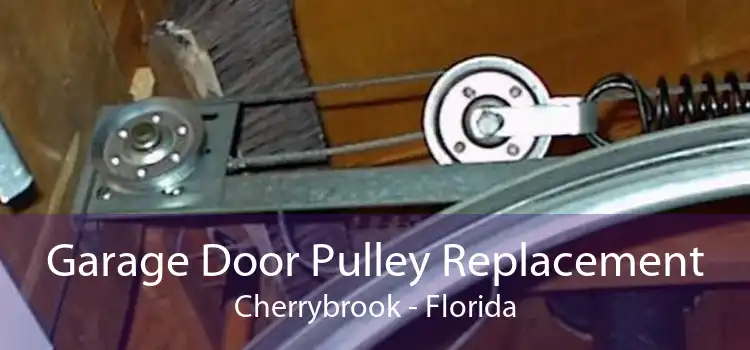 Garage Door Pulley Replacement Cherrybrook - Florida