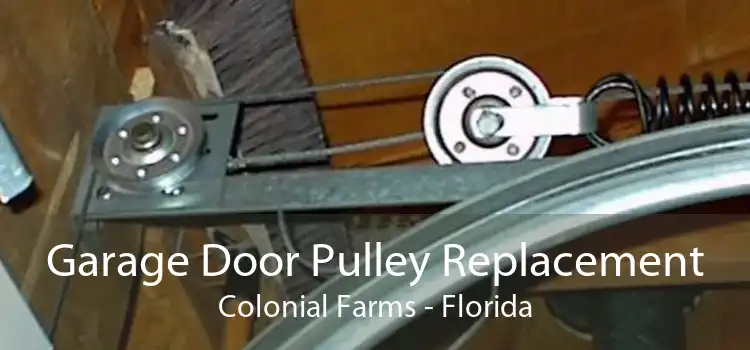 Garage Door Pulley Replacement Colonial Farms - Florida