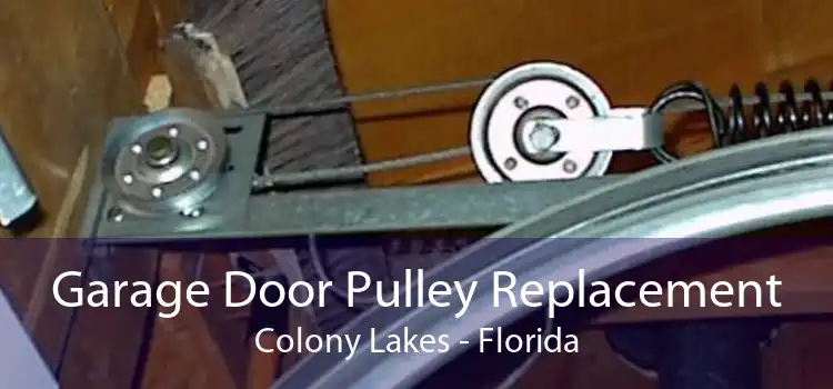 Garage Door Pulley Replacement Colony Lakes - Florida