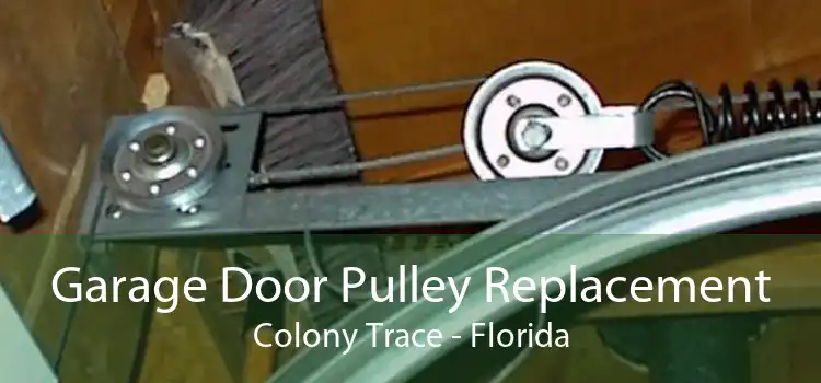 Garage Door Pulley Replacement Colony Trace - Florida