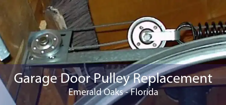 Garage Door Pulley Replacement Emerald Oaks - Florida