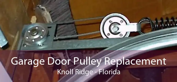 Garage Door Pulley Replacement Knoll Ridge - Florida